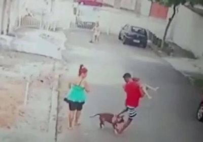 Bé trai 4 tuổi bị Pitbull kéo lê trên đường, thanh niên nhanh trí cứu thoát