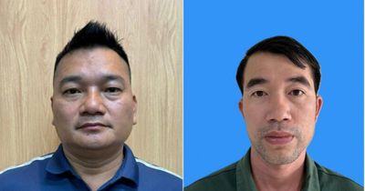 Mua bán vảy tê tê Java và tê tê vàng, 3 đối tượng bị khởi tố