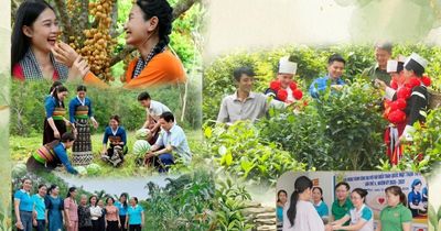 Những dấu ấn nổi bật trong công tác Hội và phong trào nông dân giai đoạn 2023-2026