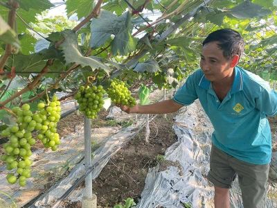 Thiệu Hóa tạo 'cú hích' phát triển sản phẩm OCOP