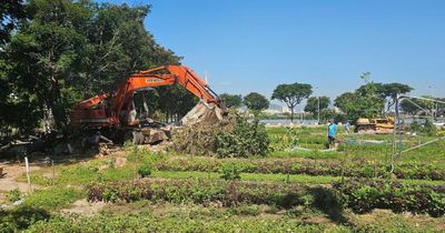 Sớm triển khai dự án Khu Tổ hợp công trình phục vụ Lễ hội pháo hoa quốc tế Đà Nẵng