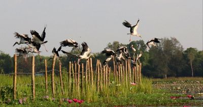 Thúc đẩy phát triển du lịch cộng đồng phía nam Đà Nẵng