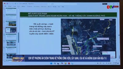 Xem xét phương án chỉnh trang hệ thống công viên, cây xanh, vỉa hè và không gian văn hóa 7-5