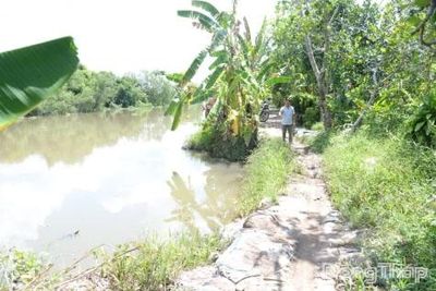 Đồng Tháp: 8 điểm sạt lở bờ sông cần xây dựng công trình bảo vệ với kinh phí khoảng 4.725 tỷ đồng