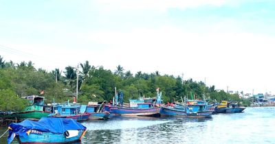 Hướng dẫn xử lý tàu cá sau giải bản, bảo đảm không tái tham gia khai thác thủy sản