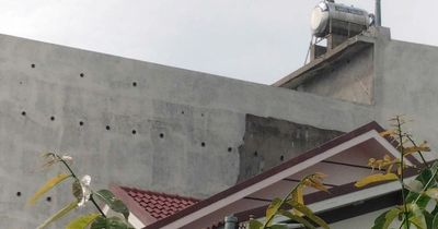 Tỉnh Gia Lai cấm nuôi chim yến trong khu dân cư, trung tâm đô thị