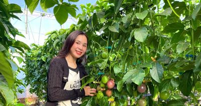 Phát triển công nghiệp sinh học thành ngành kinh tế - kỹ thuật quan trọng