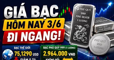 Giá bạc hôm nay 3/6: Bạc Phú Quý giữ giá, thị trường chờ bứt phá