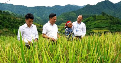 Mường Bo: 'Thay áo mới' sau một năm tinh gọn bộ máy
