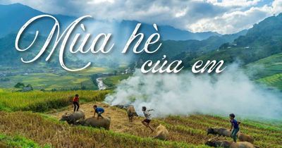 Mùa hè của em