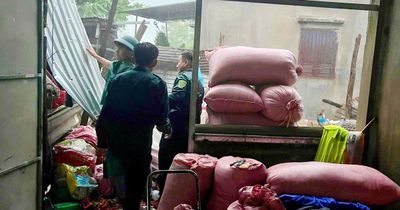 Thiệt hại nặng do lốc xoáy, Hồng Sơn tập trung khắc phục hậu quả