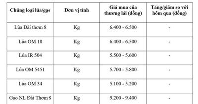 Giá lúa gạo ngày 3/6/2026: Gạo xuất khẩu Việt Nam giảm sâu 15 USD/tấn