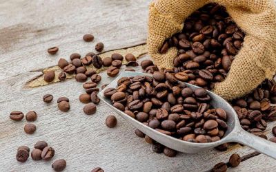 Giá cà phê hôm nay 3/6: Diễn biến trái chiều, arabica chạm đáy 1 năm rưỡi
