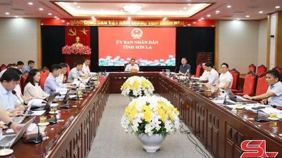 Đẩy nhanh tiến độ triển khai đầu tư các dự án điện năng lượng tái tạo