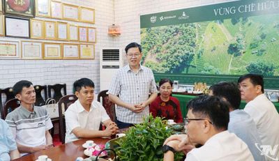 Đồng chí Đinh Quang Tuyên thăm và làm việc tại Công ty CP Chè Hà Thái