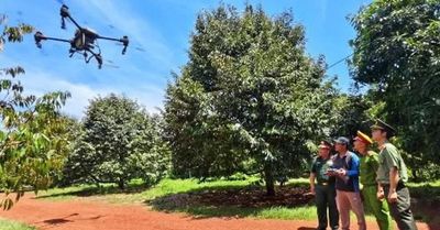 Siết quản lý thiết bị bay không người lái ở vùng nông nghiệp, đảm bảo an toàn hàng không