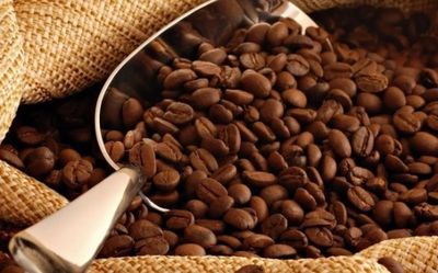 Ngày 3/6: Giá cà phê và hồ tiêu đồng loạt giảm