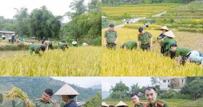 Tuyên Quang: Lực lượng Công an cơ sở giúp dân thu hoạch nông sản, chủ động phòng ngừa thiên tai
