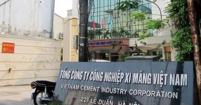 Những 'quả tạ' nghìn tỷ kéo chân VICEM