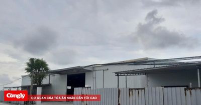 Vĩnh Lại - Hải Phòng: Đất xã giao khoán bị đem góp vốn vào doanh nghiệp tư nhân