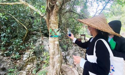 Phát triển du lịch gắn với tài nguyên rừng
