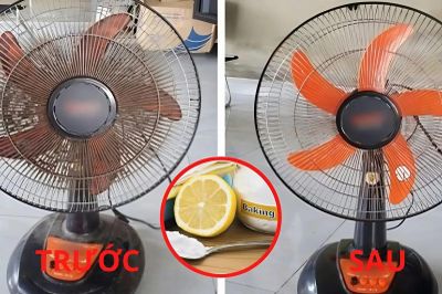 Mẹo vệ sinh quạt điện không cần tháo lắp, tiết kiệm thời gian mà vẫn sạch như mới