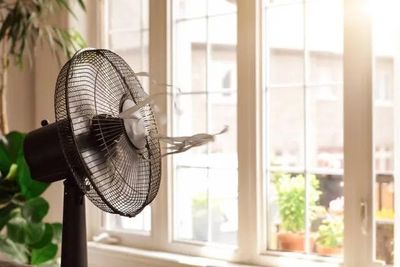 Không phải quạt nào cũng tiết kiệm điện: Chọn đúng thiết bị, hóa đơn mùa hè có thể giảm đáng kể