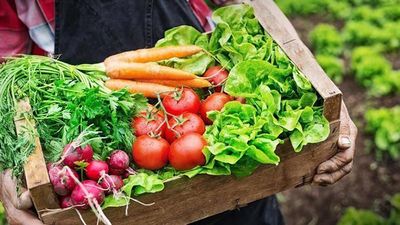 Chợ và sản phẩm hữu cơ - Cầu nối giữa nông nghiệp xanh và người tiêu dùng