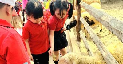 Nghỉ hè, phụ huynh Hà Nội tốn tiền triệu để 'giữ chân' con