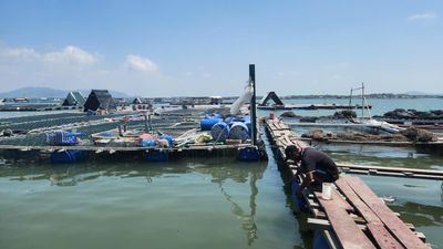 TP.HCM rà soát bè nổi, siết quản lý nuôi lồng bè ở xã Long Sơn