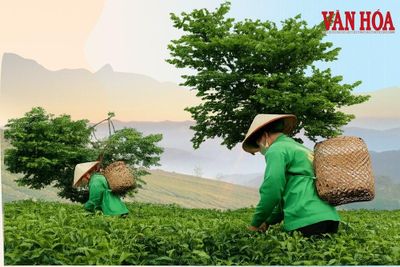 Tân Cương hướng tới trung tâm kinh tế trà và du lịch của Thái Nguyên