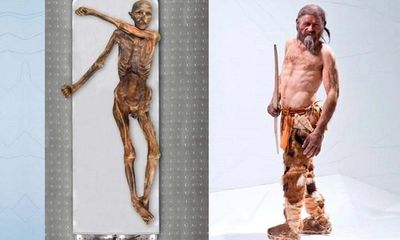 Phát hiện 'thế giới sống' bên trong xác ướp 5.300 năm tuổi