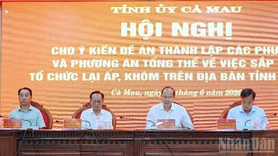 Cà Mau thành lập thêm 13 phường mới, giảm hơn 560 khóm, ấp