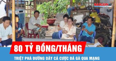 Triệt phá đường dây cá cược đá gà qua mạng, một tháng giao dịch 80 tỷ đồng