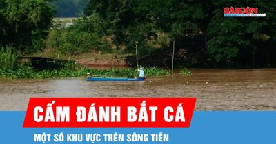 Đồng Tháp: Cấm người dân đánh bắt cá một số khu vực trên sông Tiền