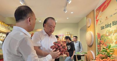 Vải thiều Lục Ngạn đầu vụ 'đổ bộ' Hà Nội