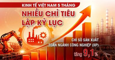 Kinh tế Việt Nam 5 tháng: Nhiều chỉ tiêu lập kỷ lục