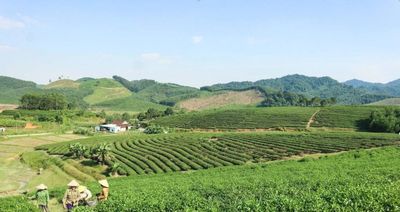 Nghệ An phát triển nông nghiệp công nghệ cao trên hành lang kinh tế đường Hồ Chí Minh