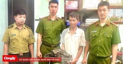 Phát hiện vụ vận chuyển trái phép cá thể rắn hổ chúa