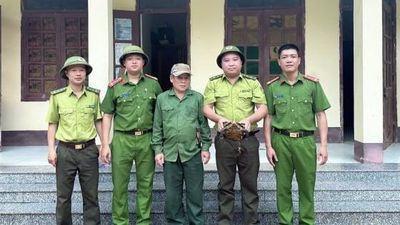 Phát hiện cá thể rùa núi viền quý hiếm tại Thanh Hóa