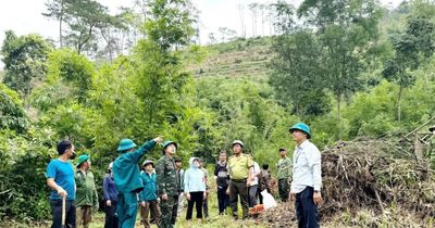 Lâm Đồng triển khai thu hồi đất lâm nghiệp bị lấn chiếm trái phép
