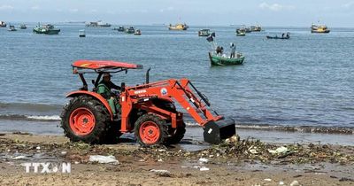 TP Hồ Chí Minh: Hàng chục tấn lục bình cùng rác thải tràn vào bãi tắm Bãi Trước