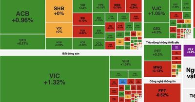 VN-Index đảo chiều tăng hơn 12 điểm sau chuỗi 7 phiên giảm