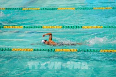 Sông rạch bủa vây, vì sao học sinh Tây Ninh vẫn 'khát' hồ bơi?
