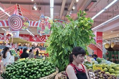 Khai mạc Tuần lễ trái cây Việt Nam năm 2026