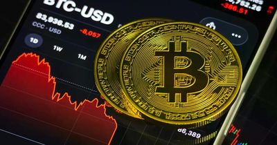 Giá Bitcoin rơi xuống ngưỡng thấp, các nhà đầu tư lâu năm đồng loạt 'xả hàng'