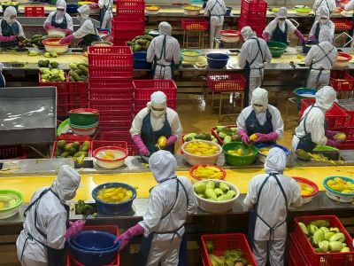 Xuất khẩu rau quả tăng trưởng ấn tượng trong 5 tháng đầu năm 2026