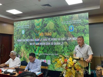 Cần đẩy nhanh giao đất, giao rừng để tránh 'rừng không chủ'