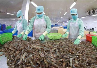 Xuất khẩu tôm và cá tra tăng trưởng hai con số nhưng áp lực ngày càng lớn
