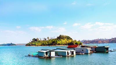 Sau cuộc rong ruổi của những người ly hương